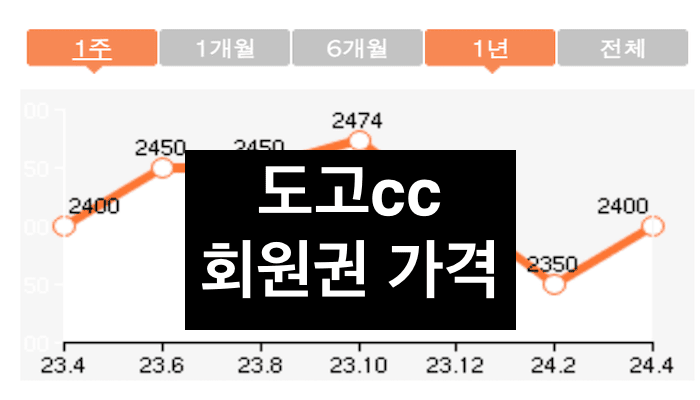 도고cc 골프장 가격